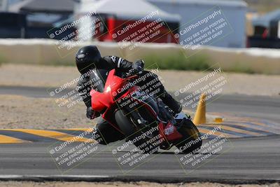 media/Mar-12-2023-SoCal Trackdays (Sun) [[d4c8249724]]/Turn 2 (1130am)/